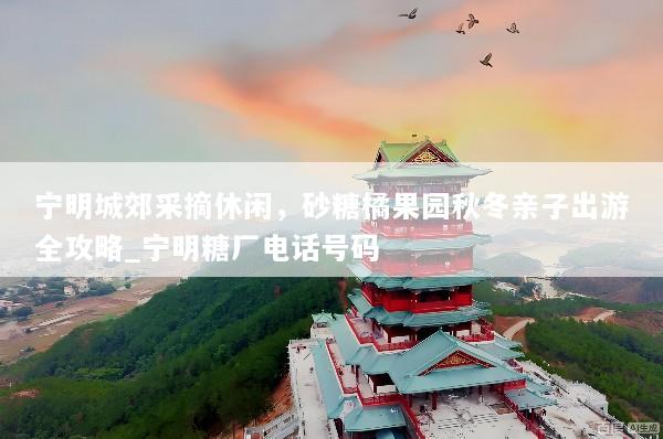 宁明城郊采摘休闲，砂糖橘果园秋冬亲子出游全攻略_宁明糖厂电话号码