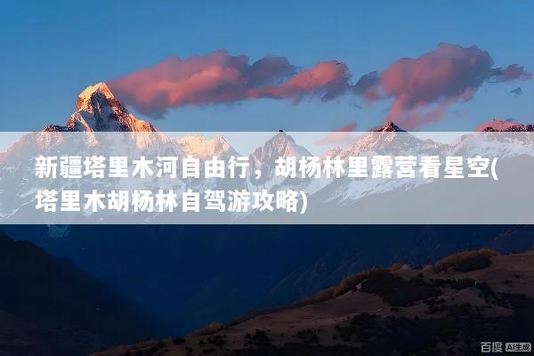 新疆塔里木河自由行，胡杨林里露营看星空(塔里木胡杨林自驾游攻略)