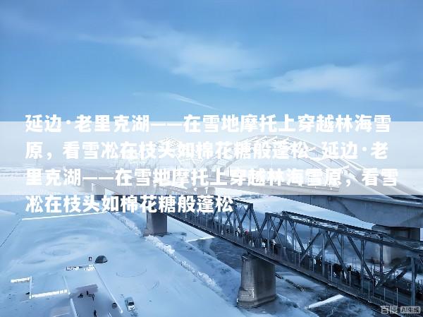 延边·老里克湖——在雪地摩托上穿越林海雪原，看雪凇在枝头如棉花糖般蓬松_延边·老里克湖——在雪地摩托上穿越林海雪原，看雪凇在枝头如棉花糖般蓬松