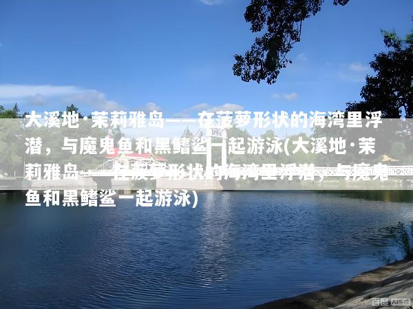 大溪地·茉莉雅岛——在菠萝形状的海湾里浮潜，与魔鬼鱼和黑鳍鲨一起游泳(大溪地·茉莉雅岛——在菠萝形状的海湾里浮潜，与魔鬼鱼和黑鳍鲨一起游泳)