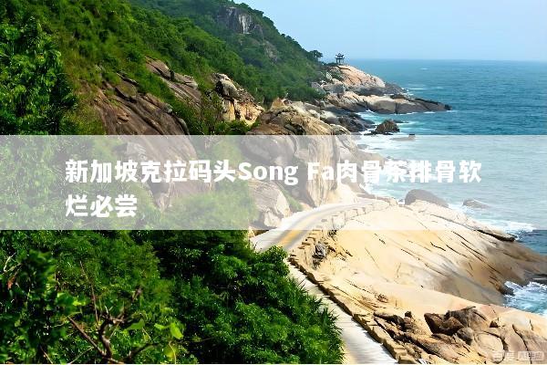 新加坡克拉码头Song Fa肉骨茶排骨软烂必尝