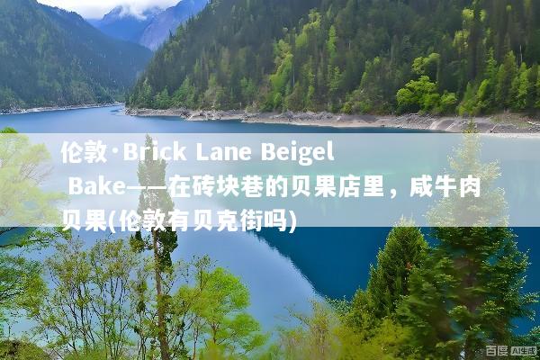 伦敦·Brick Lane Beigel Bake——在砖块巷的贝果店里，咸牛肉贝果(伦敦有贝克街吗)