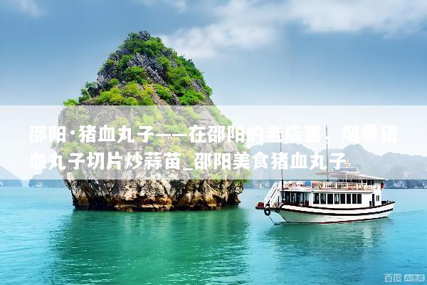 邵阳·猪血丸子——在邵阳的老店里，烟熏猪血丸子切片炒蒜苗_邵阳美食猪血丸子