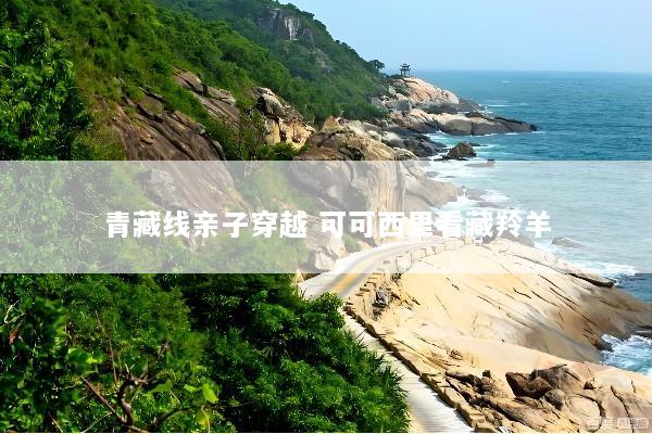 青藏线亲子穿越 可可西里看藏羚羊