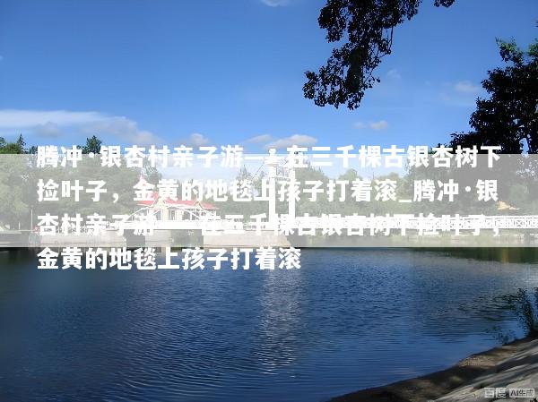 腾冲·银杏村亲子游——在三千棵古银杏树下捡叶子，金黄的地毯上孩子打着滚_腾冲·银杏村亲子游——在三千棵古银杏树下捡叶子，金黄的地毯上孩子打着滚
