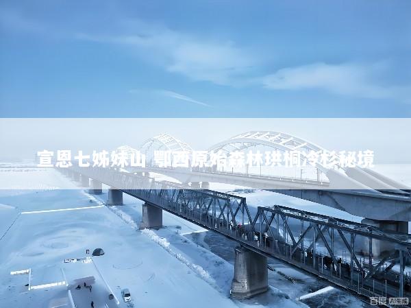 宣恩七姊妹山 鄂西原始森林珙桐冷杉秘境