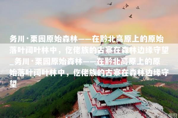 务川·栗园原始森林——在黔北高原上的原始落叶阔叶林中，仡佬族的古寨在森林边缘守望_务川·栗园原始森林——在黔北高原上的原始落叶阔叶林中，仡佬族的古寨在森林边缘守望