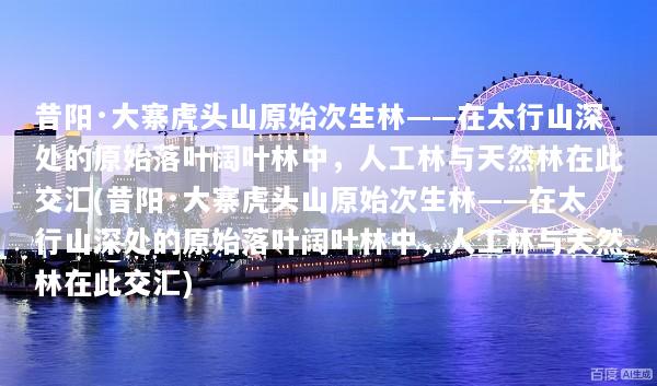 昔阳·大寨虎头山原始次生林——在太行山深处的原始落叶阔叶林中，人工林与天然林在此交汇(昔阳·大寨虎头山原始次生林——在太行山深处的原始落叶阔叶林中，人工林与天然林在此交汇)