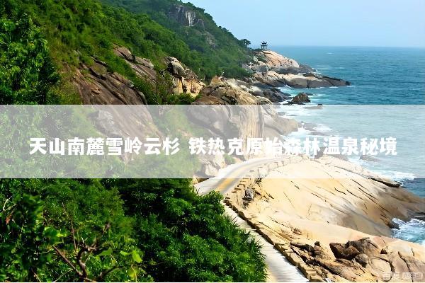 天山南麓雪岭云杉 铁热克原始森林温泉秘境