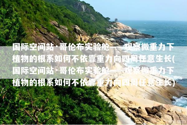 国际空间站·哥伦布实验舱——观察微重力下植物的根系如何不依靠重力向四周任意生长(国际空间站·哥伦布实验舱——观察微重力下植物的根系如何不依靠重力向四周任意生长)