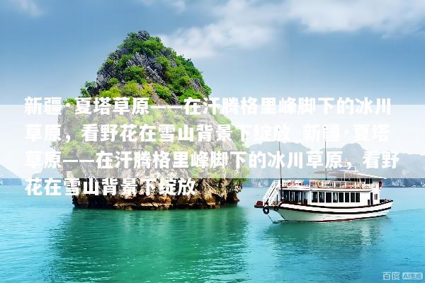 新疆·夏塔草原——在汗腾格里峰脚下的冰川草原，看野花在雪山背景下绽放_新疆·夏塔草原——在汗腾格里峰脚下的冰川草原，看野花在雪山背景下绽放