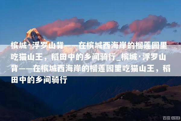 槟城·浮罗山背——在槟城西海岸的榴莲园里吃猫山王，稻田中的乡间骑行_槟城·浮罗山背——在槟城西海岸的榴莲园里吃猫山王，稻田中的乡间骑行