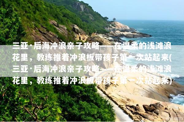 文章配图